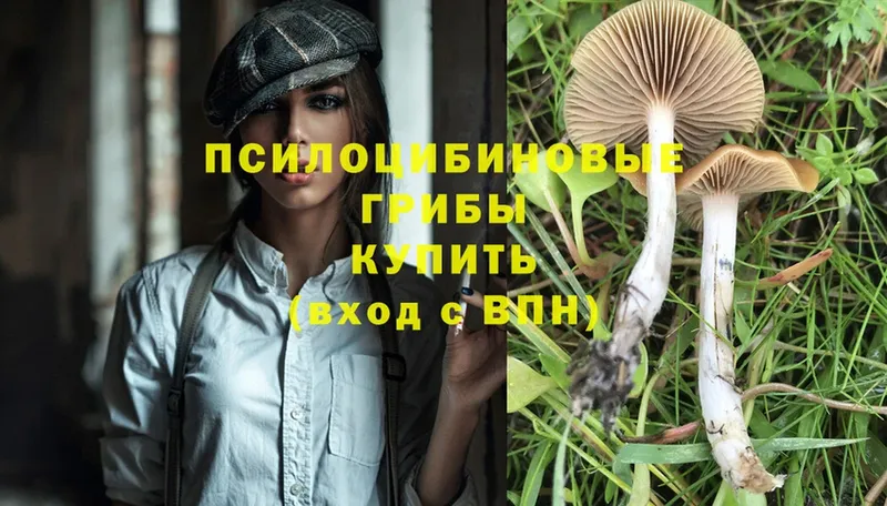 hydra как зайти  Приморско-Ахтарск  Псилоцибиновые грибы MAGIC MUSHROOMS 